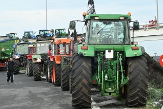 agrotes nikaia larisa - 12-2025